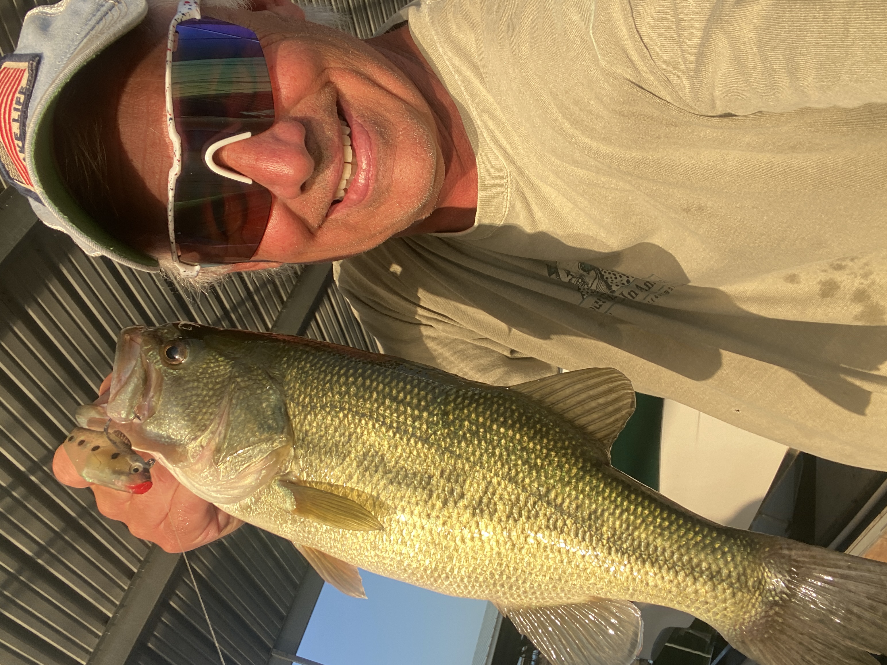 Fat largemouth with the paddle tail still in its mouth. A classic summer dock bass.
