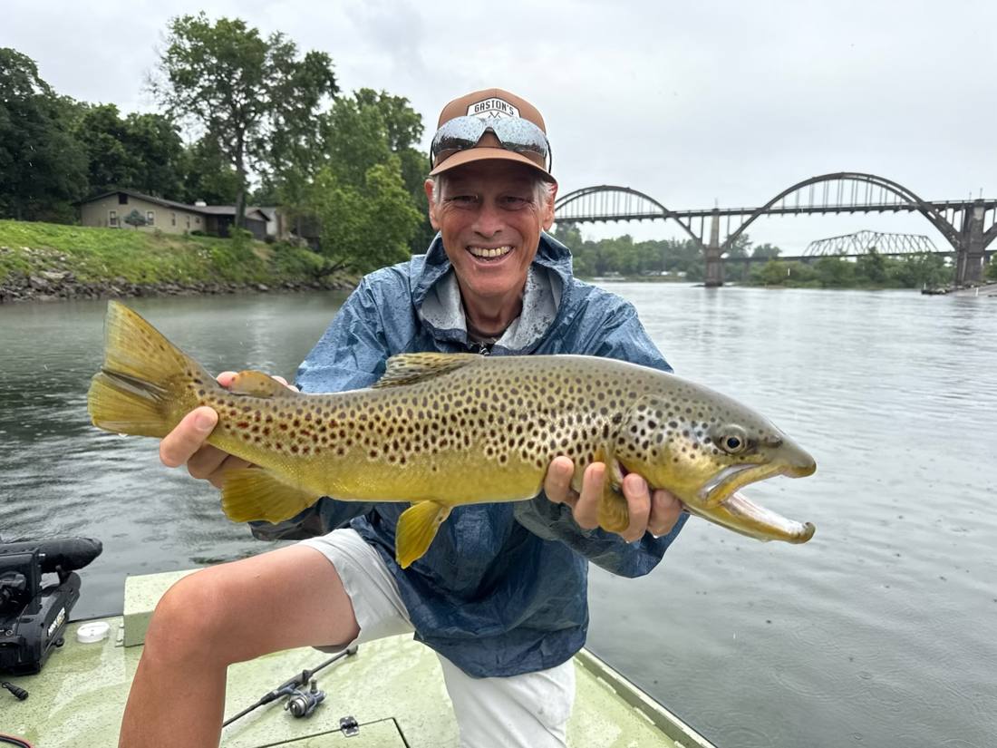 A White River brown with the Cotter bridge standing watch.